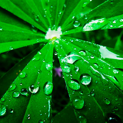 免费ddos平台攻击