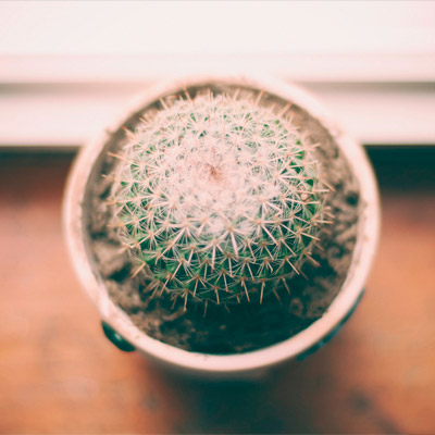 DDOS压力测试网页端