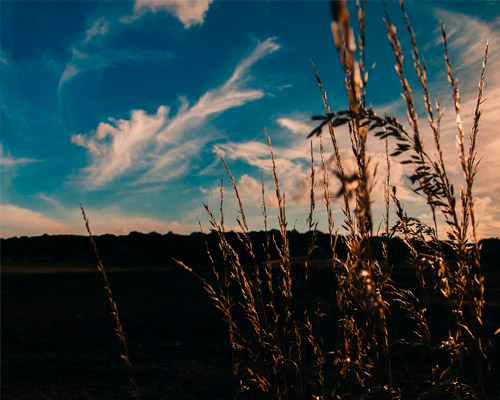 DDOS压力测试网页端